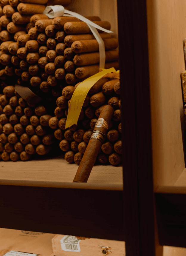 Premium cigars resting on a wooden surface