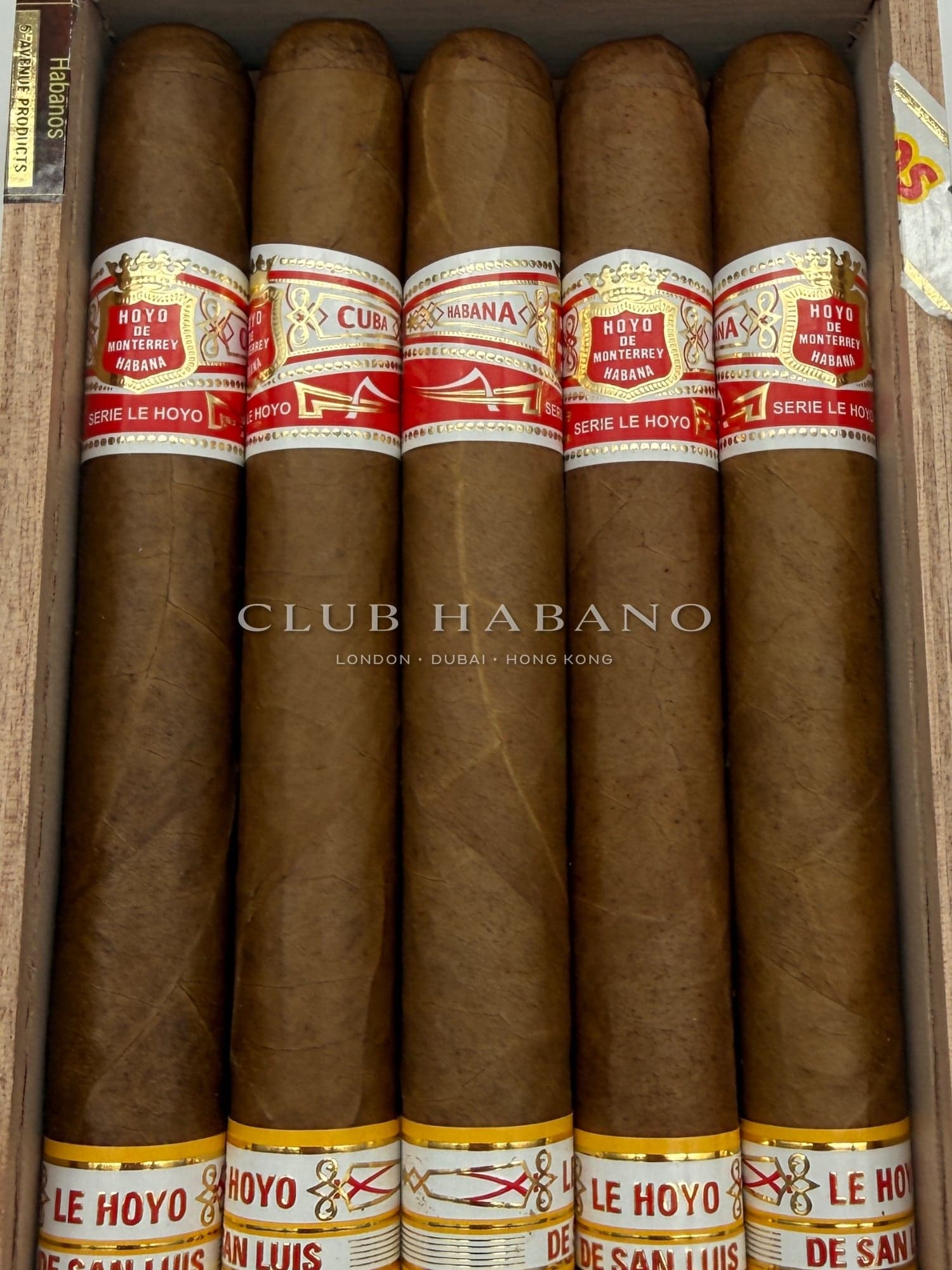 Hoyo de Monterrey Le Hoyo de San Luis 2025